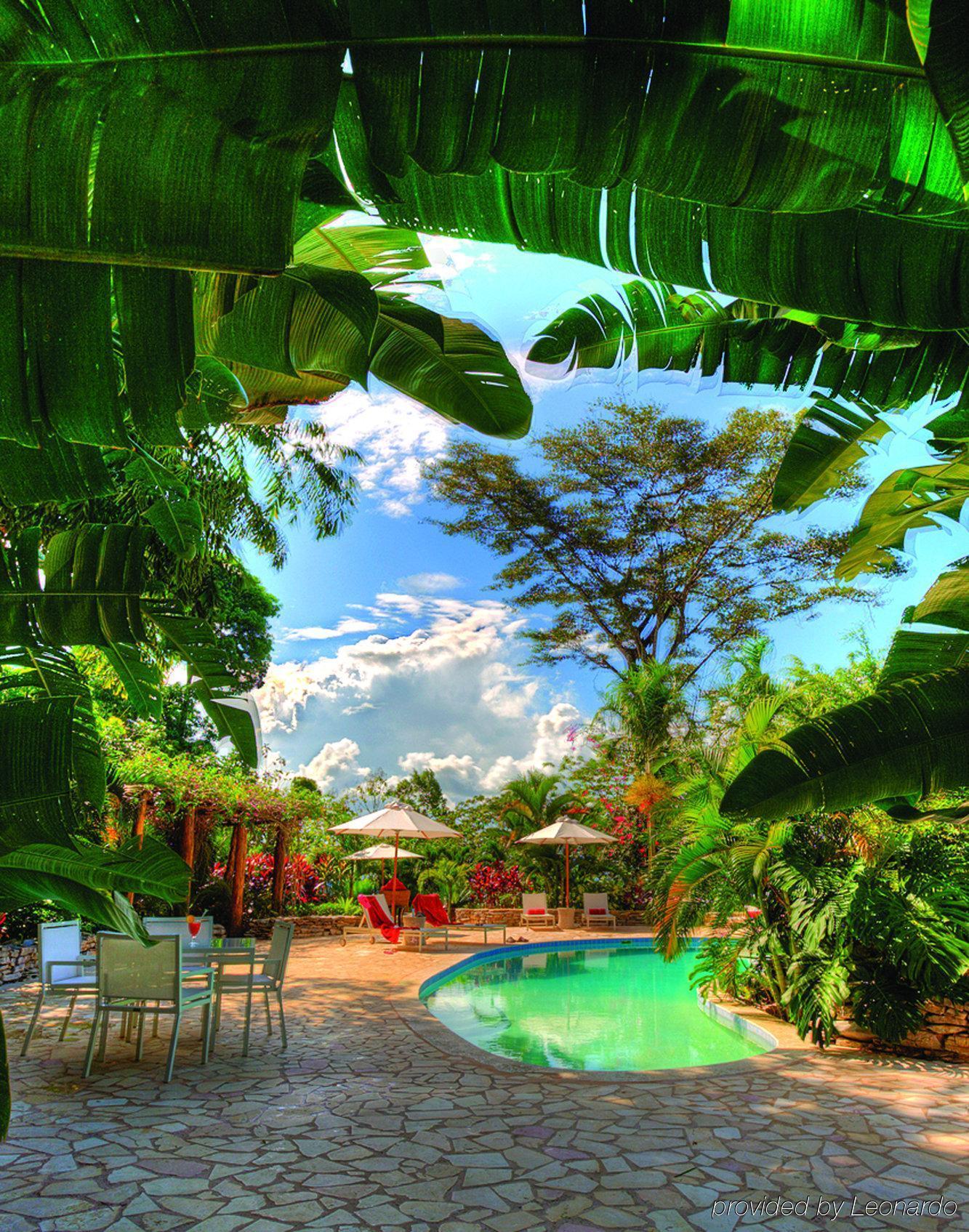 Machaca Hill Rainforest Canopy Lodge Punta Gorda Eksteriør billede