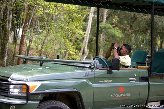 Machaca Hill Rainforest Canopy Lodge Punta Gorda Eksteriør billede