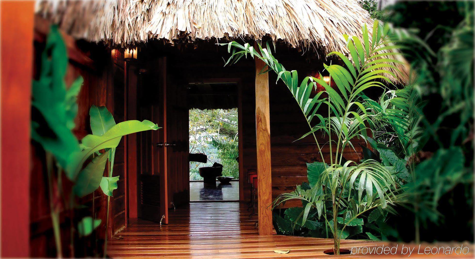 Machaca Hill Rainforest Canopy Lodge Punta Gorda Eksteriør billede