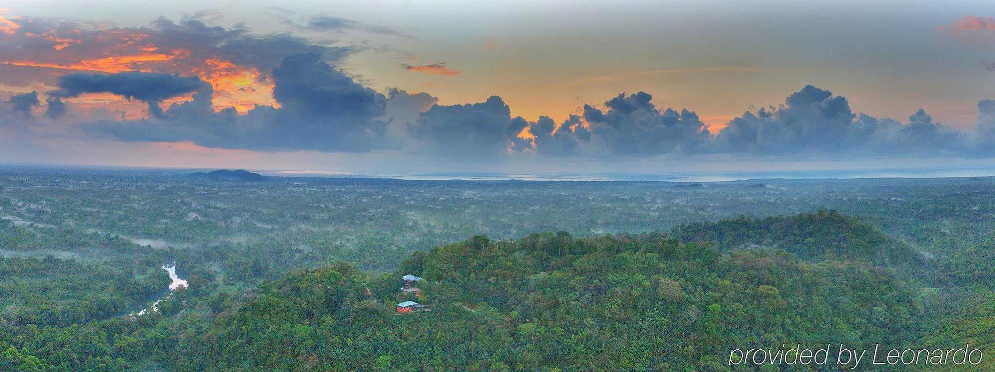 Machaca Hill Rainforest Canopy Lodge Punta Gorda Eksteriør billede